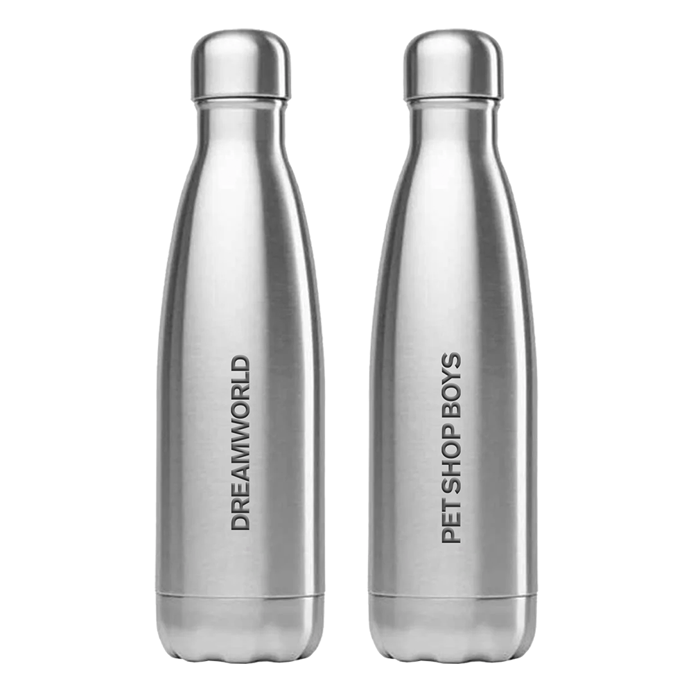 Dreamworld Silver Water Bottle